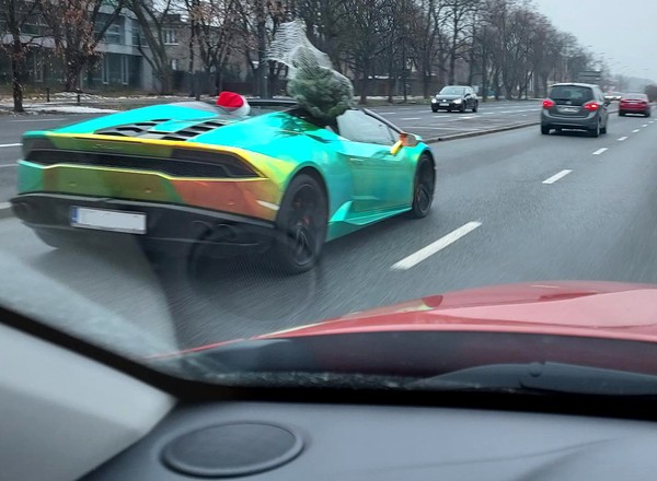 Jak przewieźć choinkę samochodem? Szalone przykłady!