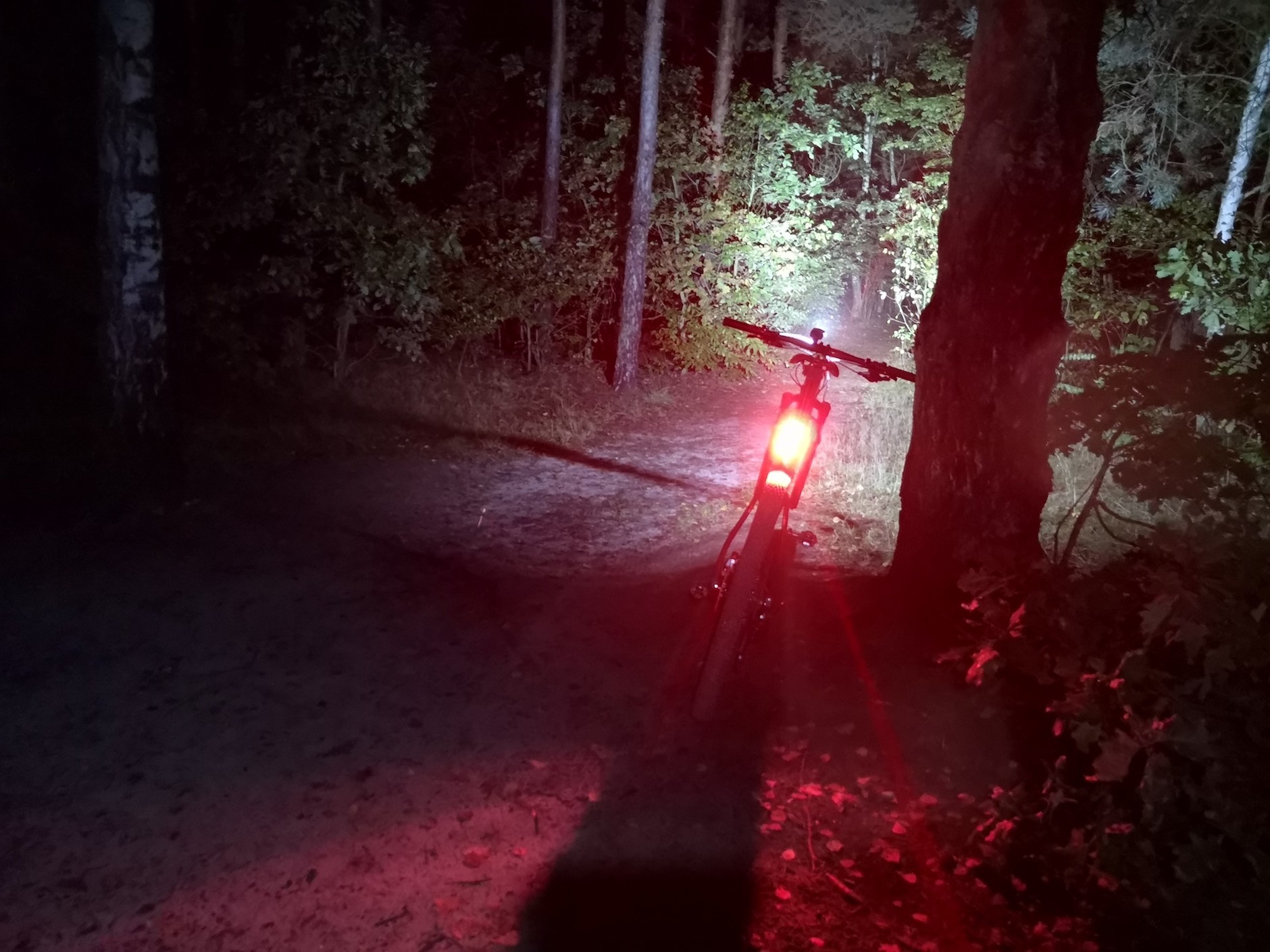 Tylna lampka o wysokiej mocy (na zdjęciu Knog Road R70) też potrafi oślepiać – w nocy dla bezpieczeństwa nadjeżdżających z tyłu  należy koniecznie wyłączyć tryb migania!