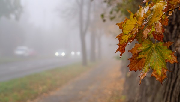 Jesienią kierowcy widzą gorzej. Można łatwo sobie pomóc