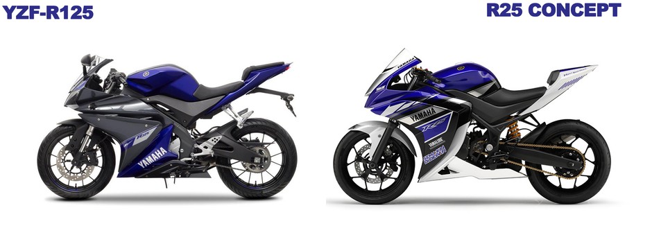 2014 Yamaha YZF-R125