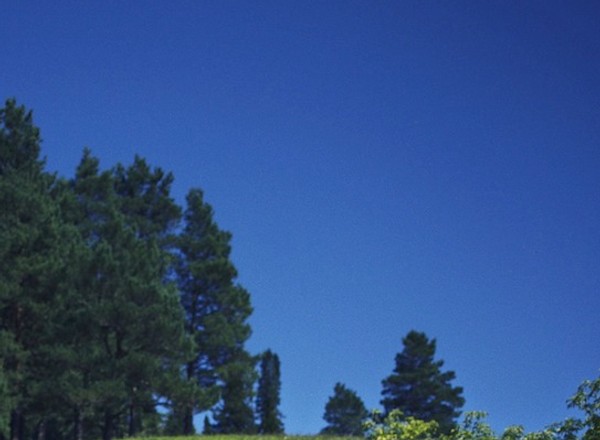 Nowa Mazda 3 na drodze z Artabyszu nad rzekę Katuń