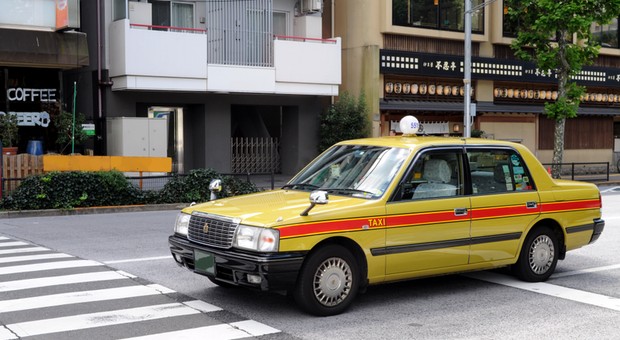 Taksówkarz z Tokio trafił do aresztu. Oskarżono go o przejechanie gołębia