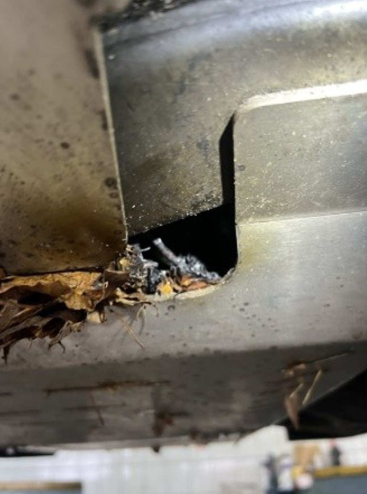 Isuzu D-Max pana Jacka – zdjęcia z oględzin rzeczoznawcy