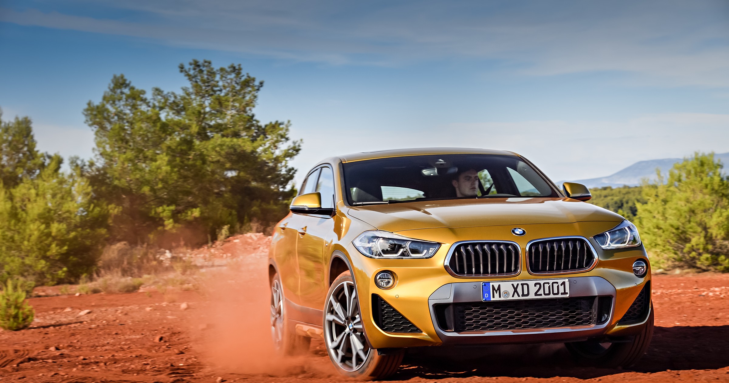 BMW X2