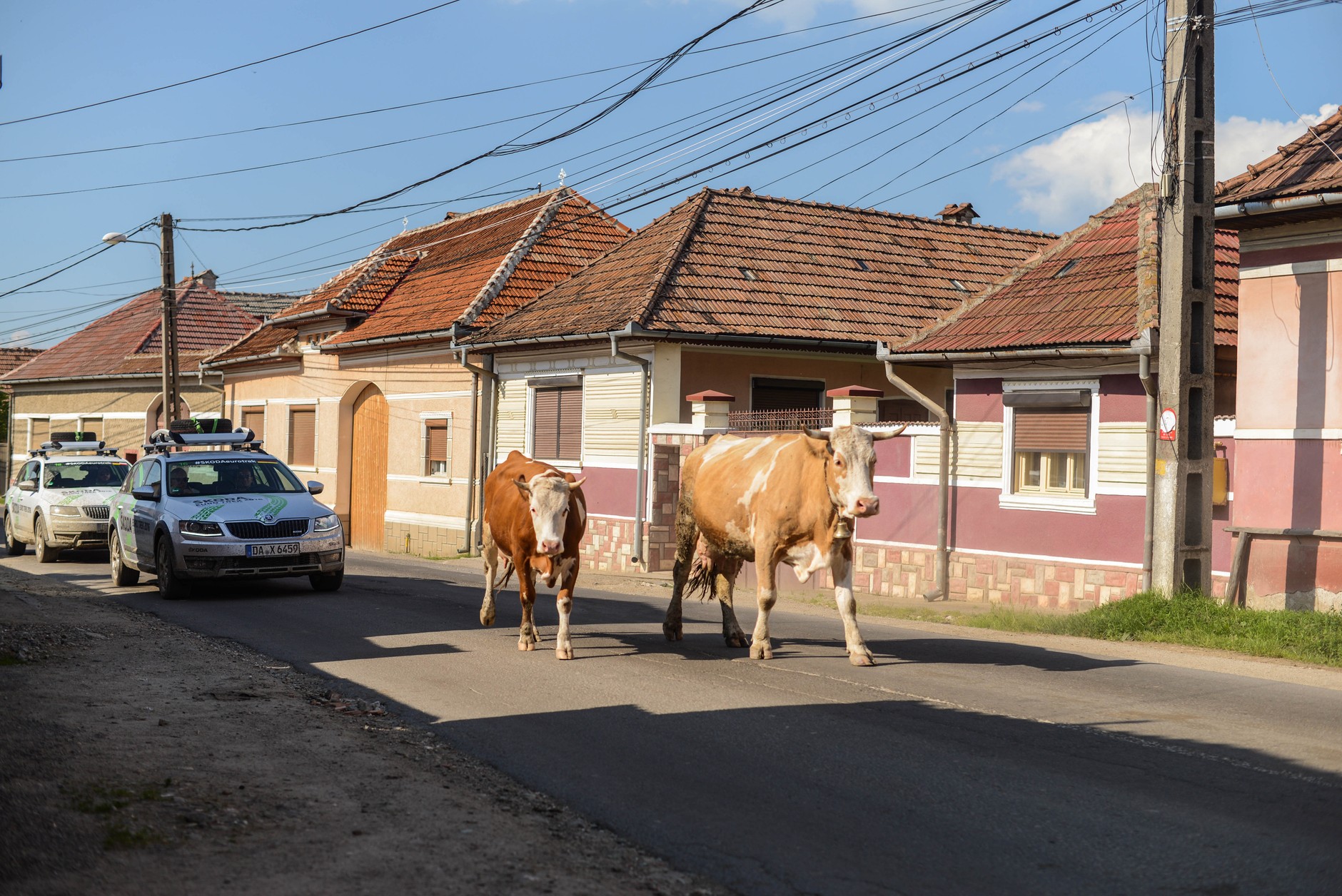 Skoda Octavia Scout w Rumunii