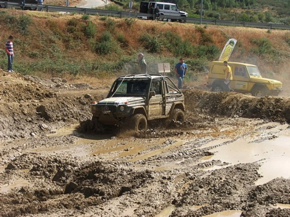 Rainforest Vimioso-Murca 2010: Rzeźnia