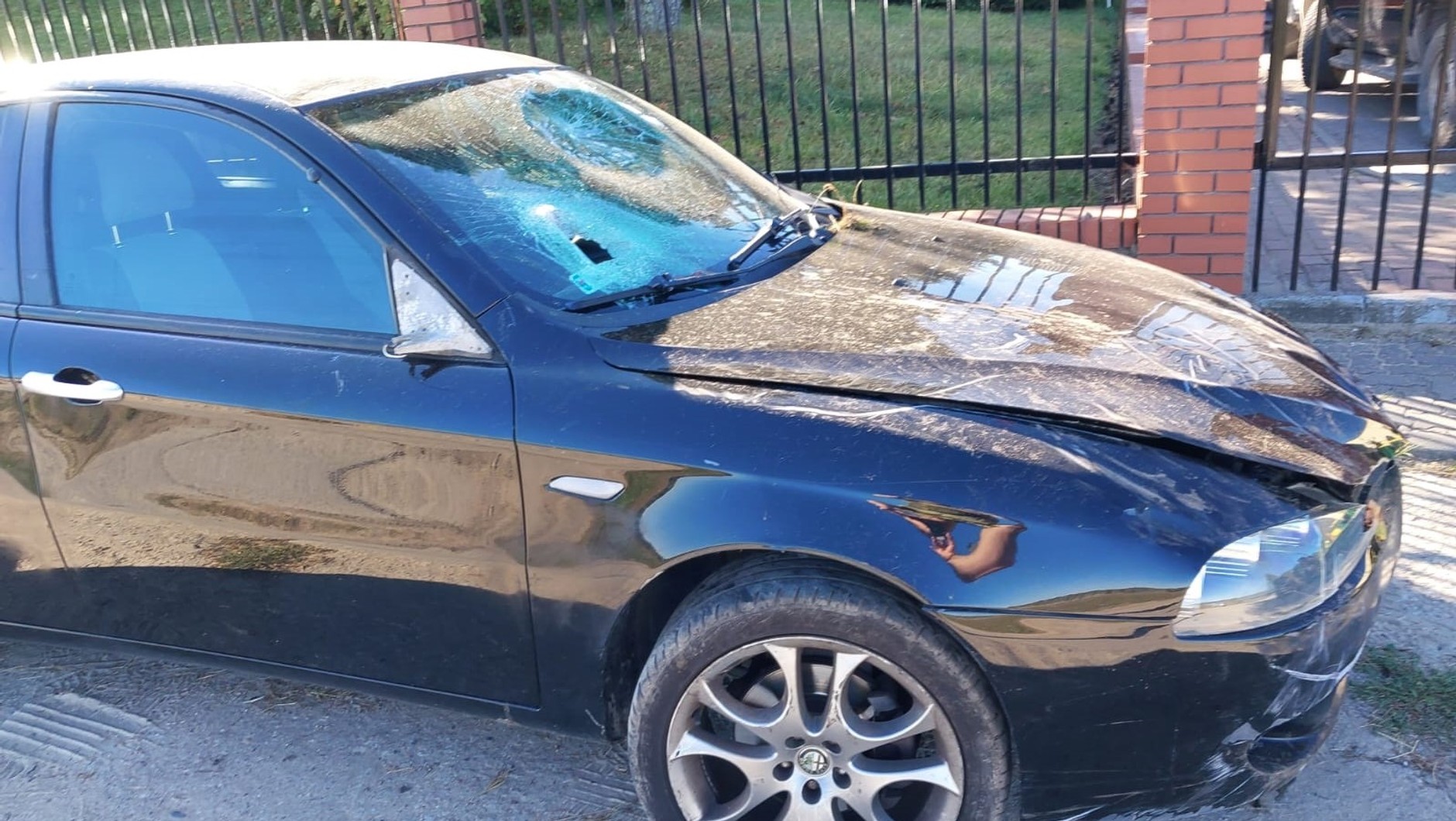 Alfa Romeo skończyła na płocie w Hajnówce