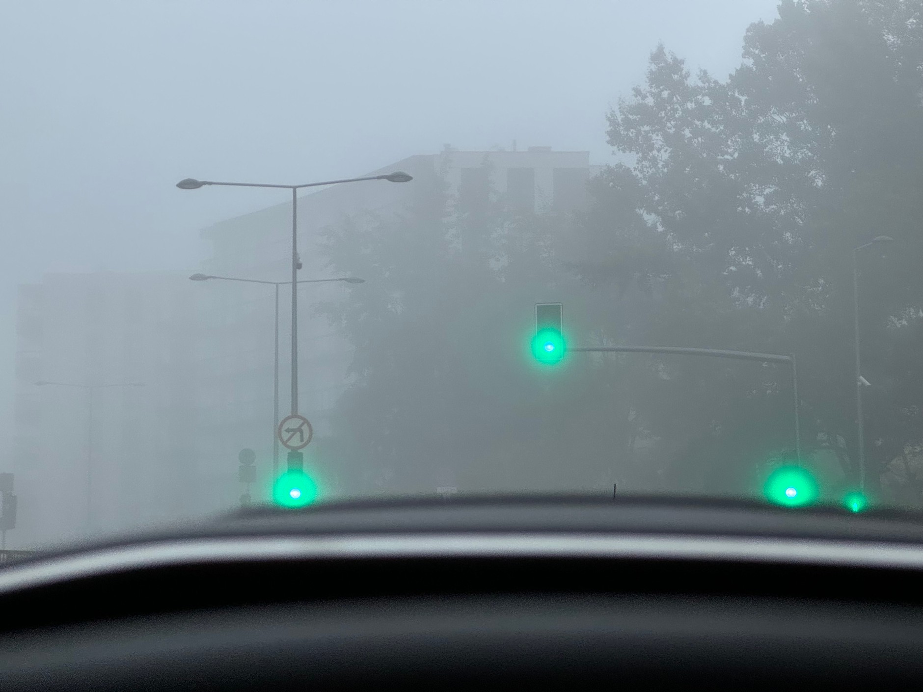 Mgła na drodze
