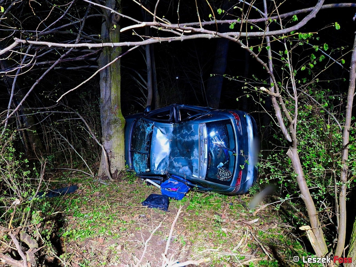 Obraz pochodzący z serwisu https://mazowiecka.policja.gov.pl/wra/aktualnosci/95613,Wypadek-w-miejscowosci-Pakoslaw.html