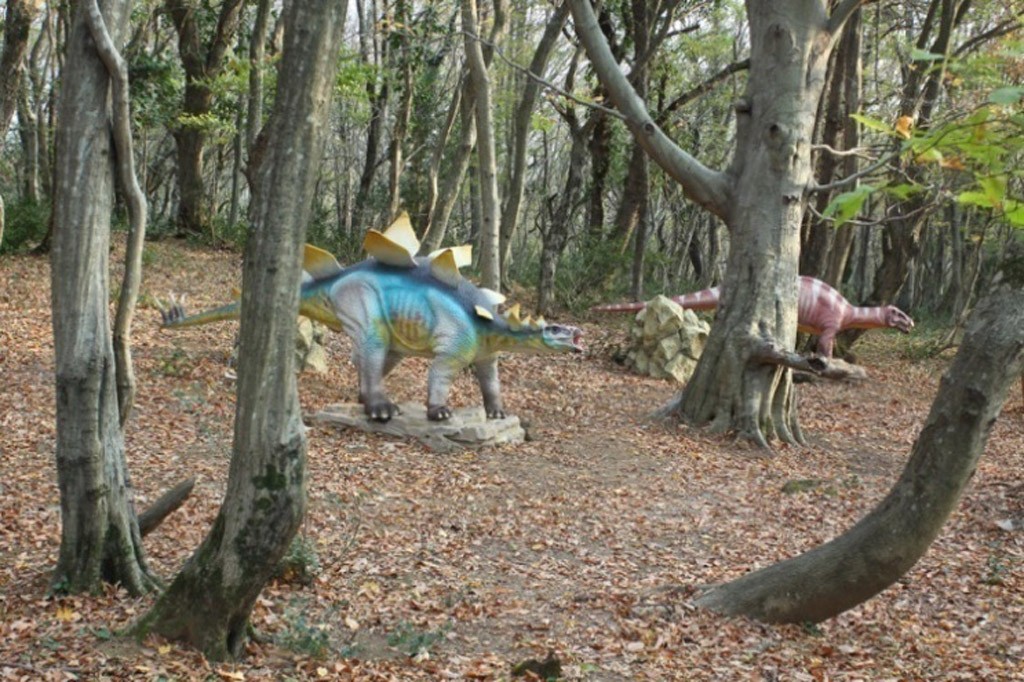 Gruzja 2011 - Galeria