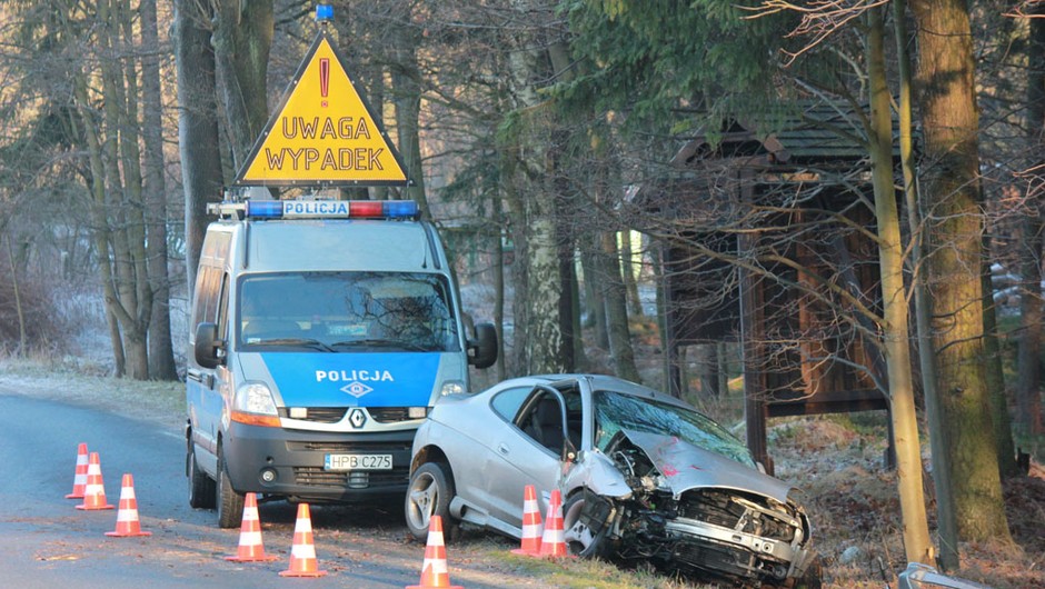 Wypadki z udziałem dzikich zwierząt - Zwierzę na drodze? Nie warto omijać!