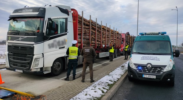 ITD połączyła siły ze Strażą Leśną. Wyniki kontroli ciężarówek zaskoczyły inspektorów