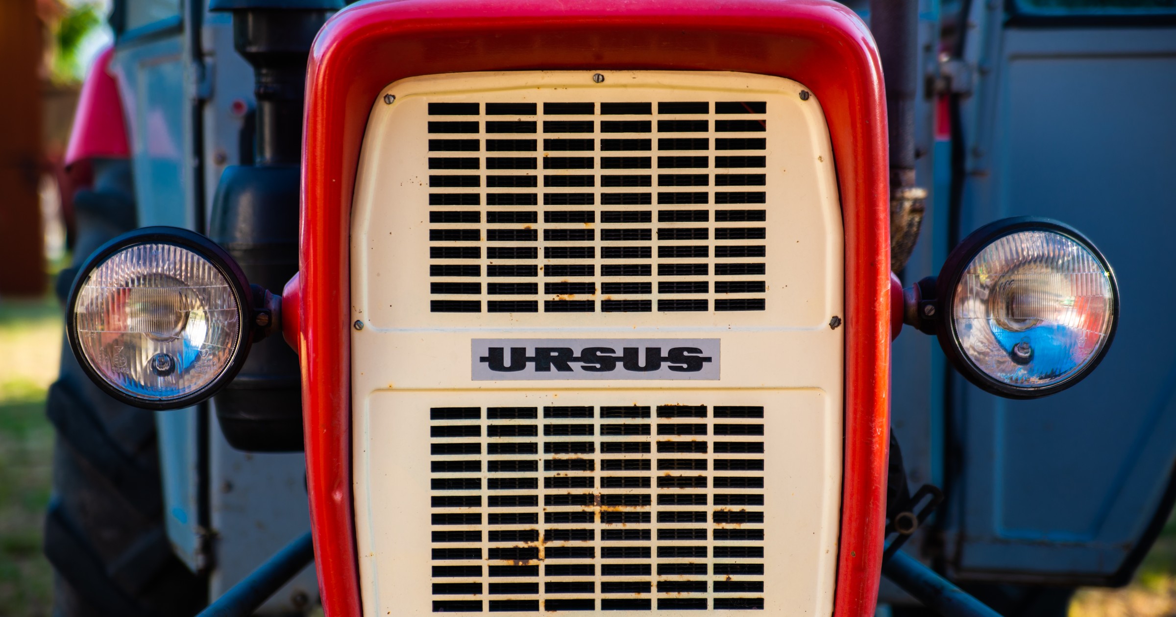 Ursus