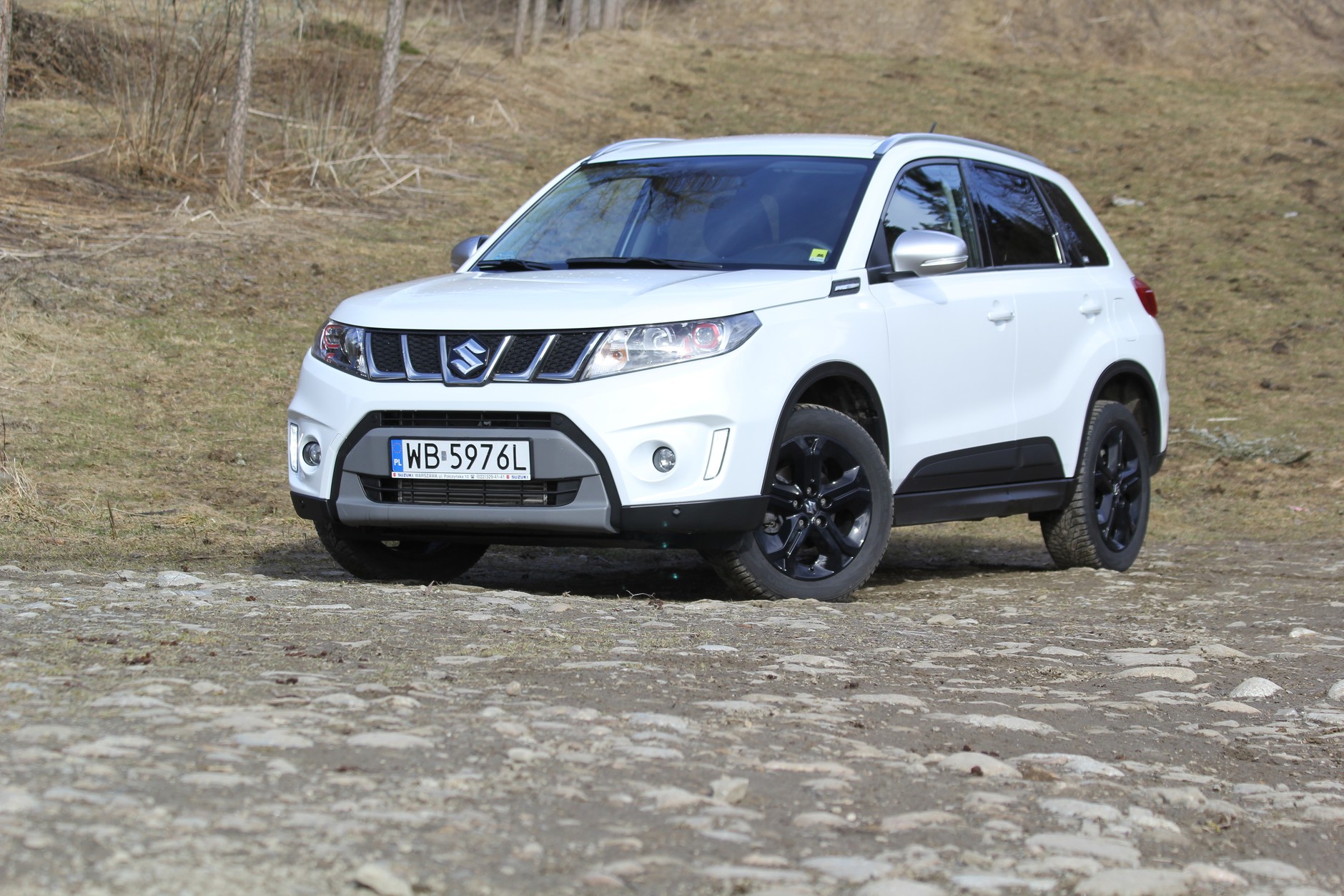 Suzuki Vitara S