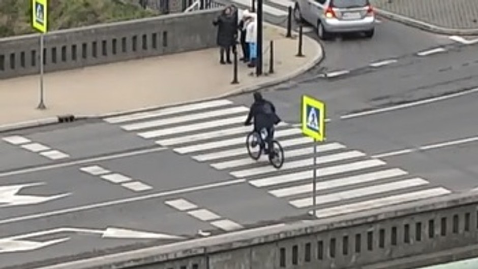 Policjanci prowadzili specjalną akcję. Pomagali im uczniowie z podstawówki