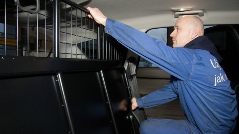 Od dzisiaj koniec kratek