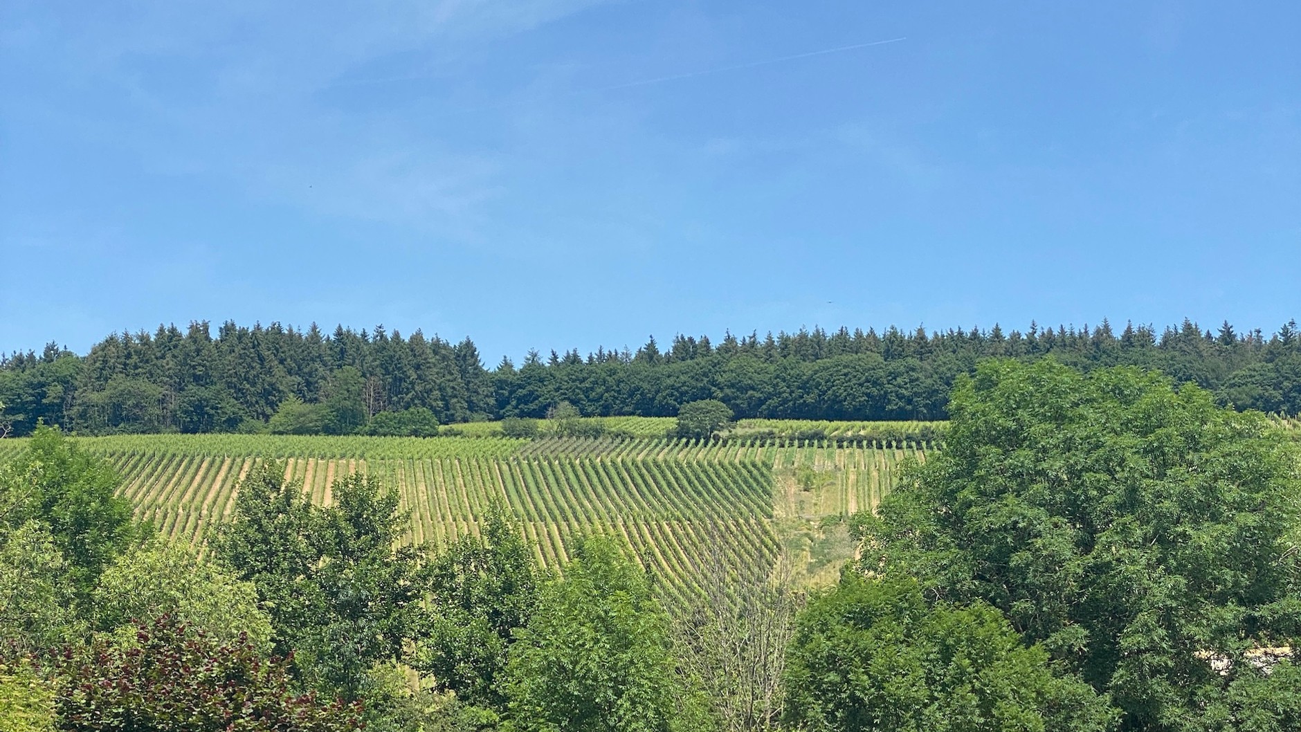 Mazda MX-5 2.0 SkyActiv-G Soft Top (ND, 2022 r.)