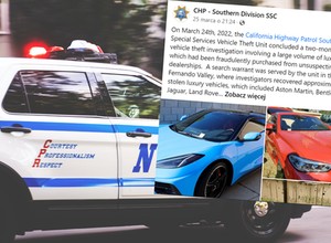 35 luksusowych aut w jednej "dziupli". Policja odkryła też coś jeszcze