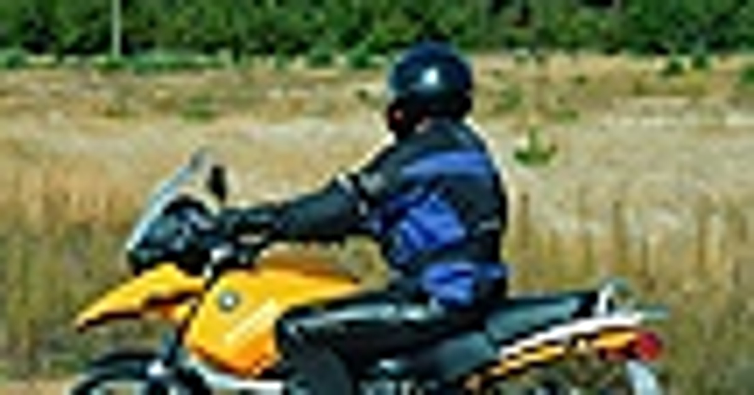 Dominator