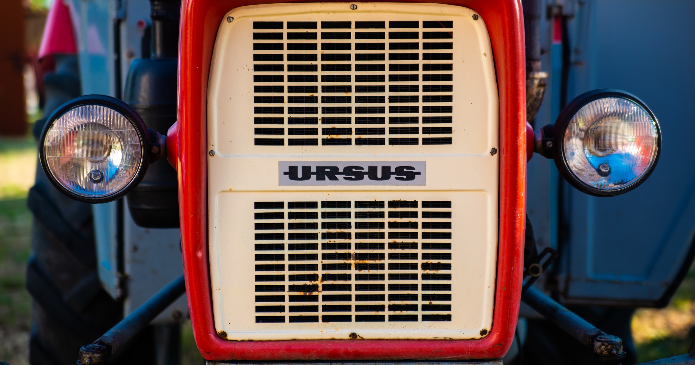 Ursus