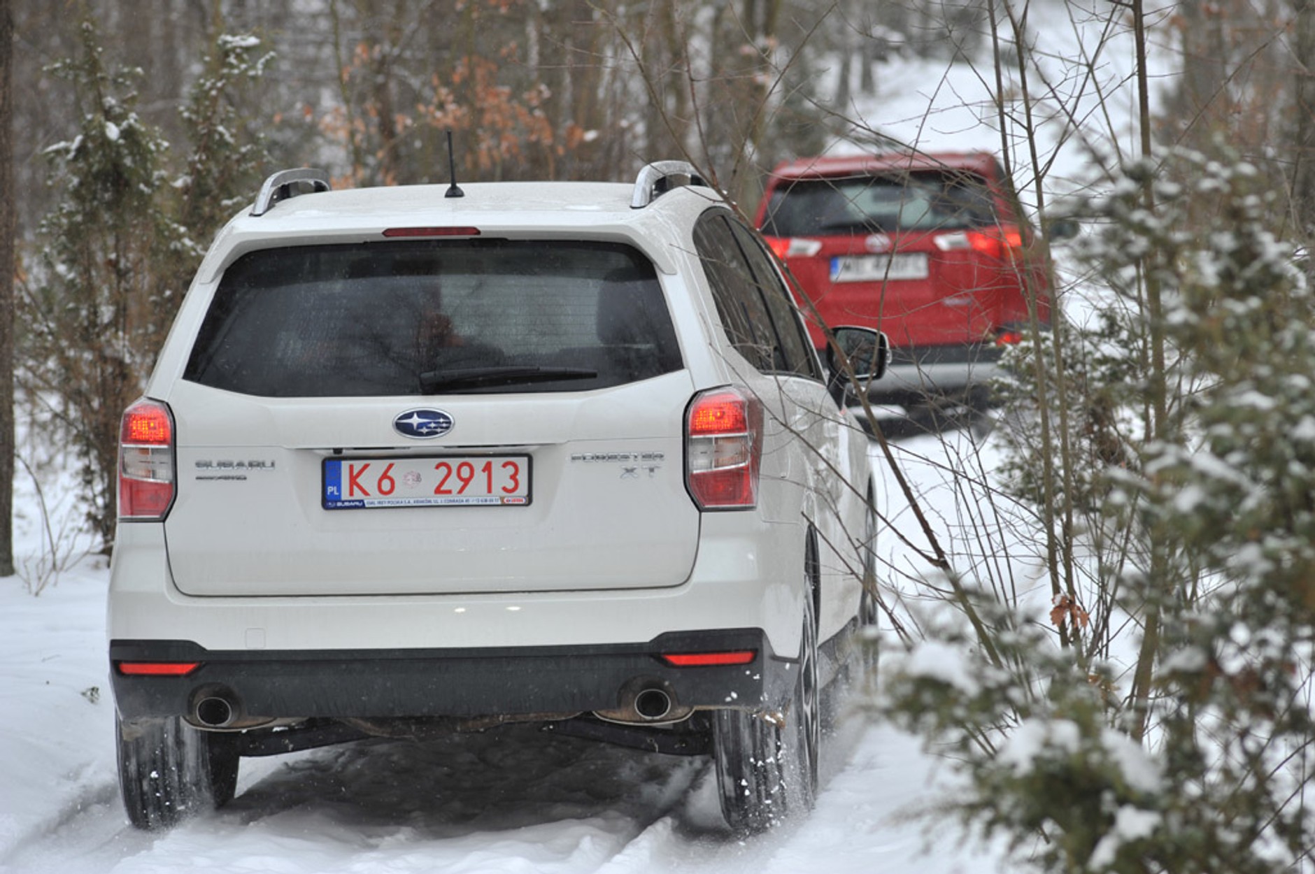 Toyota RAV4 kontra Ford Kuga i Subaru Forester: porównanie najnowszych SUV-ów na rynku