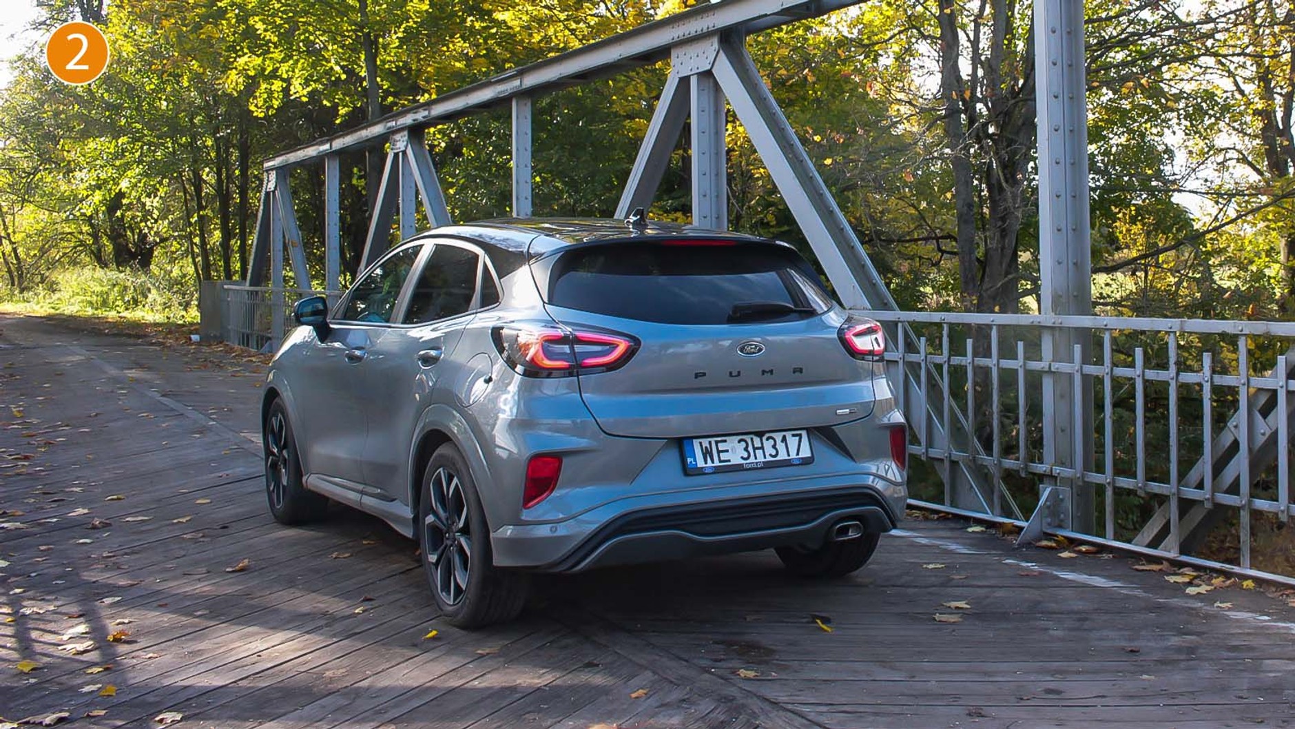 Puma na mazurskich szlakach przy granicy rosyjskiej