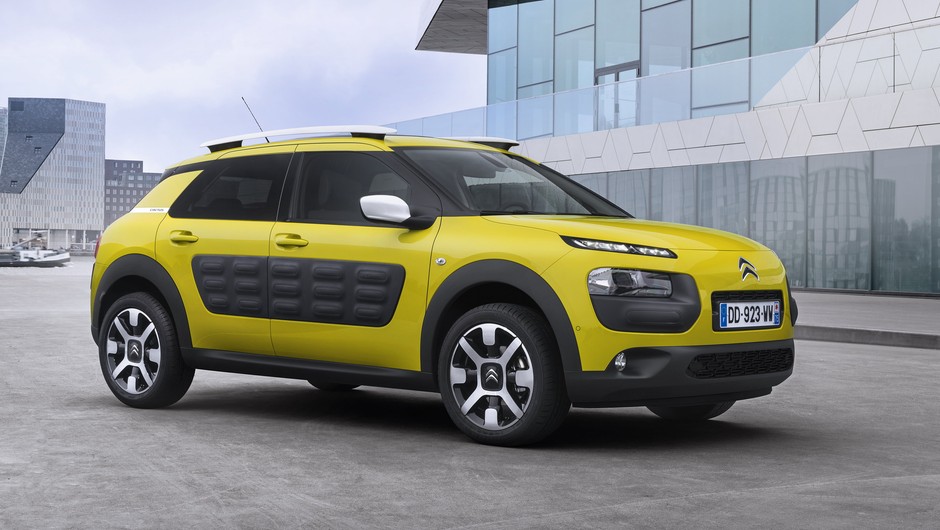 C4 Cactus