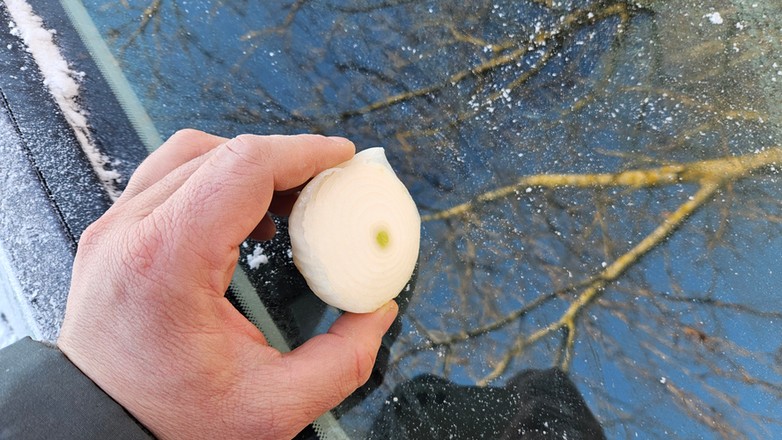 Smarowanie szyb cebulą, to metoda stosowana np. w Ukrainie. Dzięki temu lód ma nie przywierać mocno do szkła