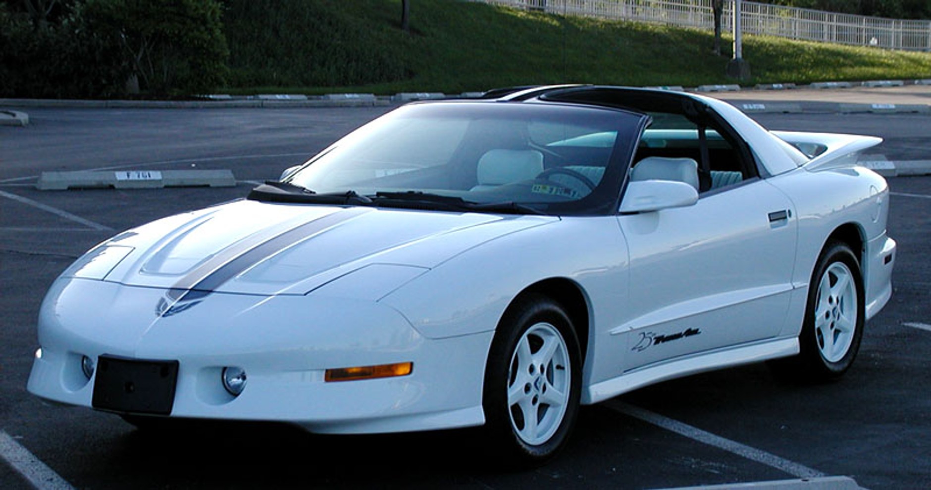 Pontiac Firebird – długi żywot ognistego ptaka