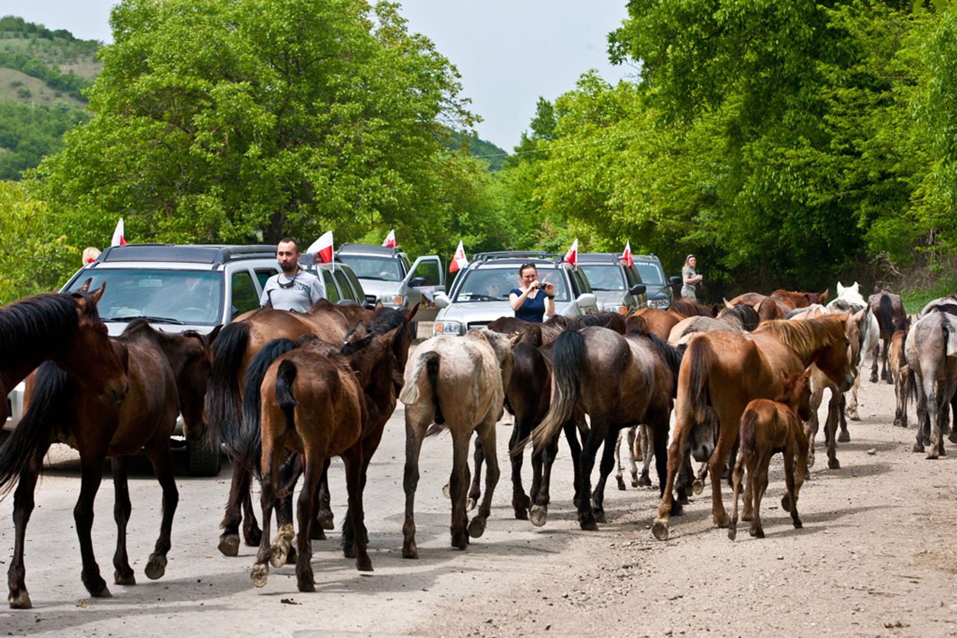Gruzja Expedition 2012: czyli, wiosna w Gruzji