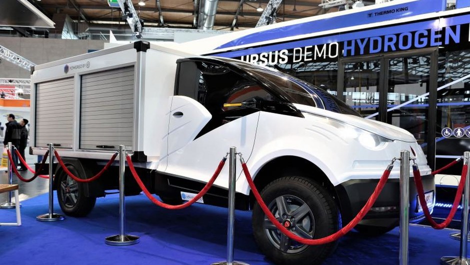 Ursus ELVI