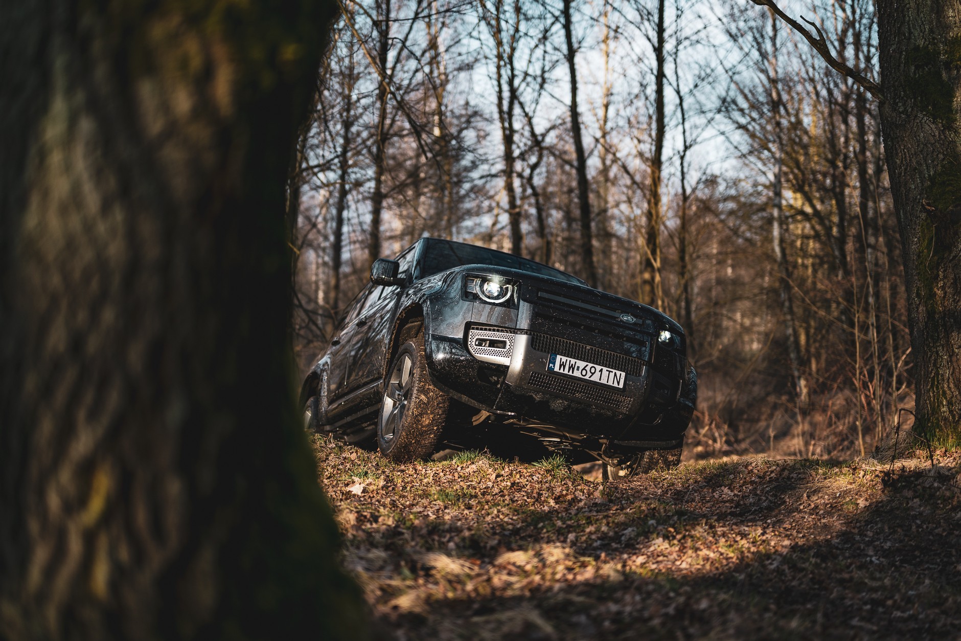 Defender