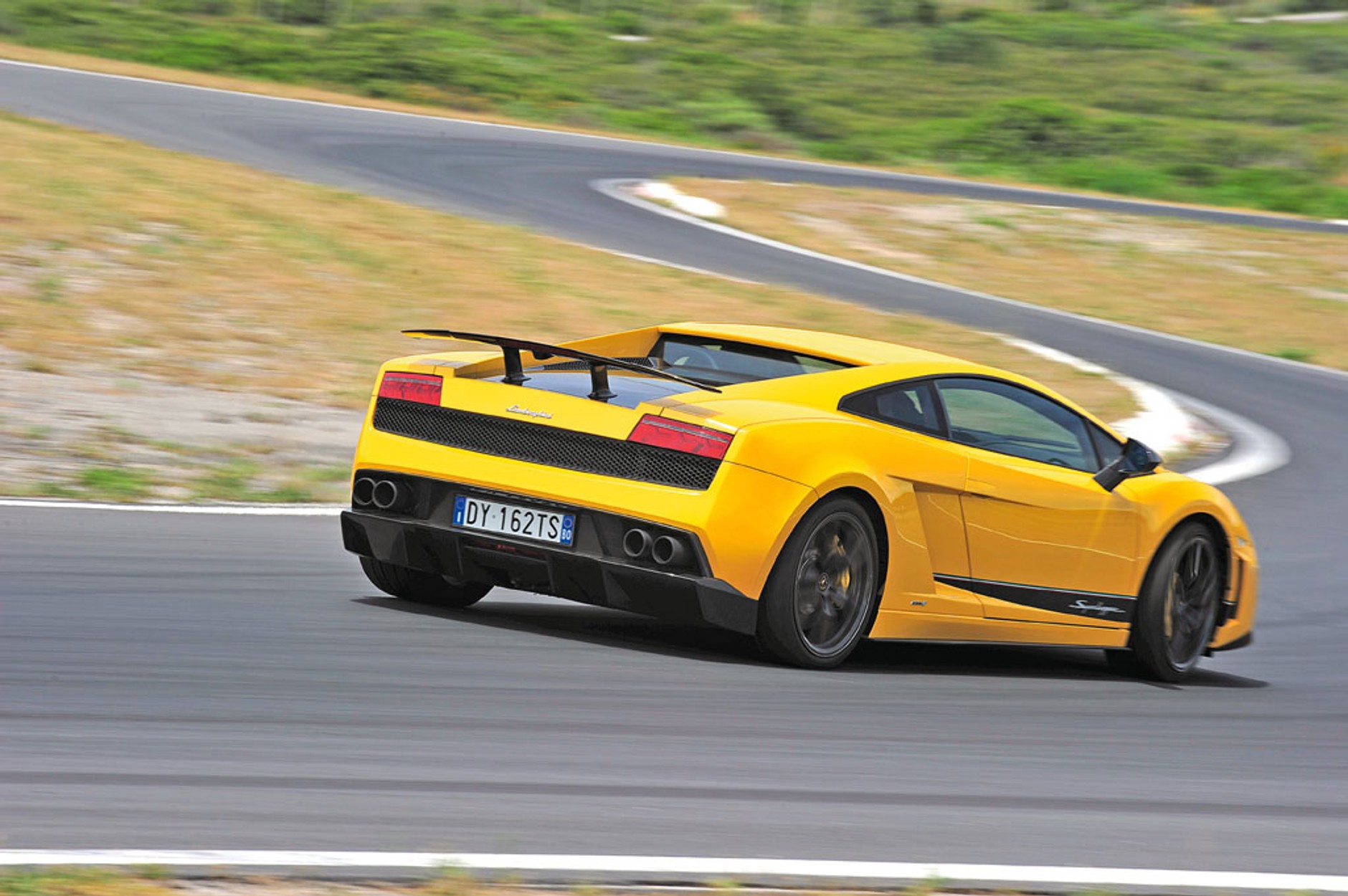 Lato na torze: niech żyje wolność!