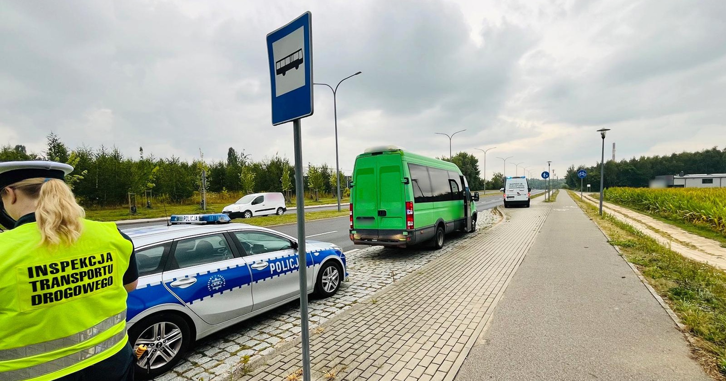 Wśród 443 kierowców znalazła się jedna owca. Została oddana policji