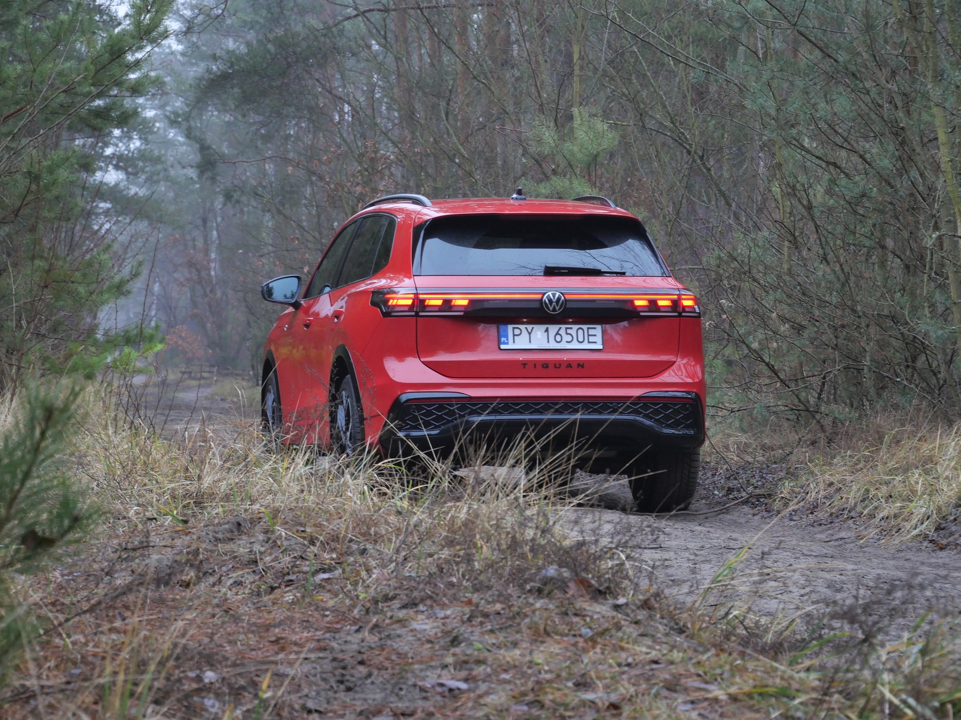 Volkswagen Tiguan R-line eHybrid 2024