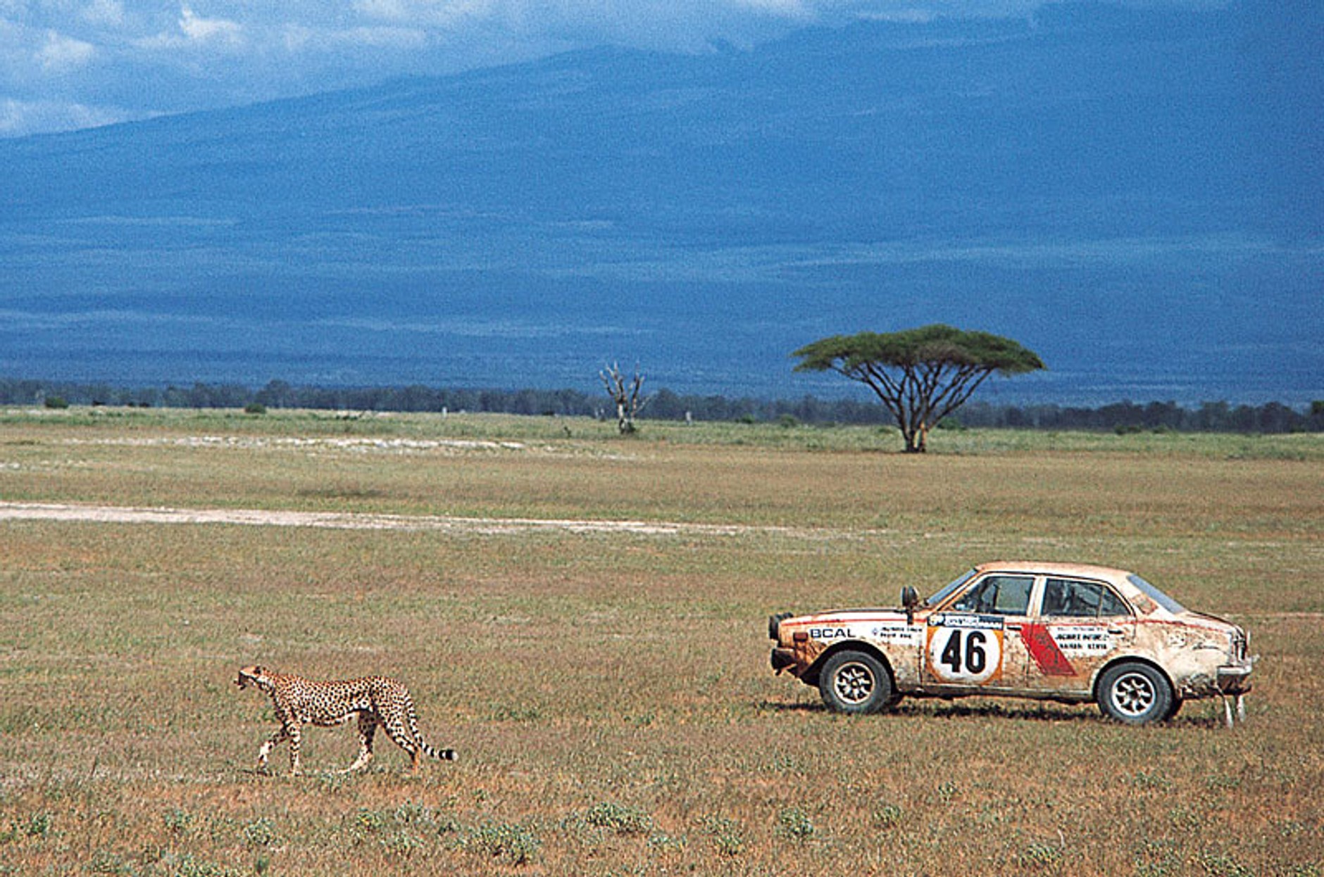 Bolonia Motor Show 2007: Mitsubishi Lancer już w Europie (galeria)