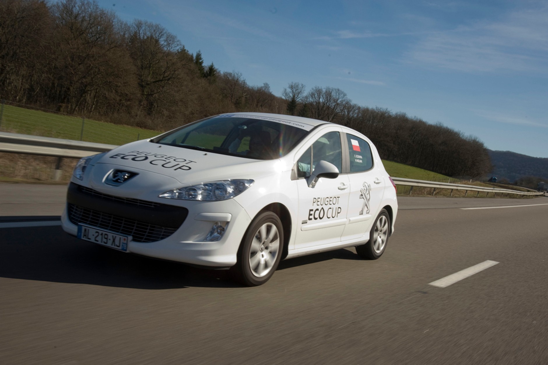 Peugeot: polska drużyna na szesnastym miejscu w Eco Cup