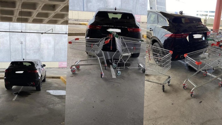 Takiego widok australijski kierowca się nie spodziewał