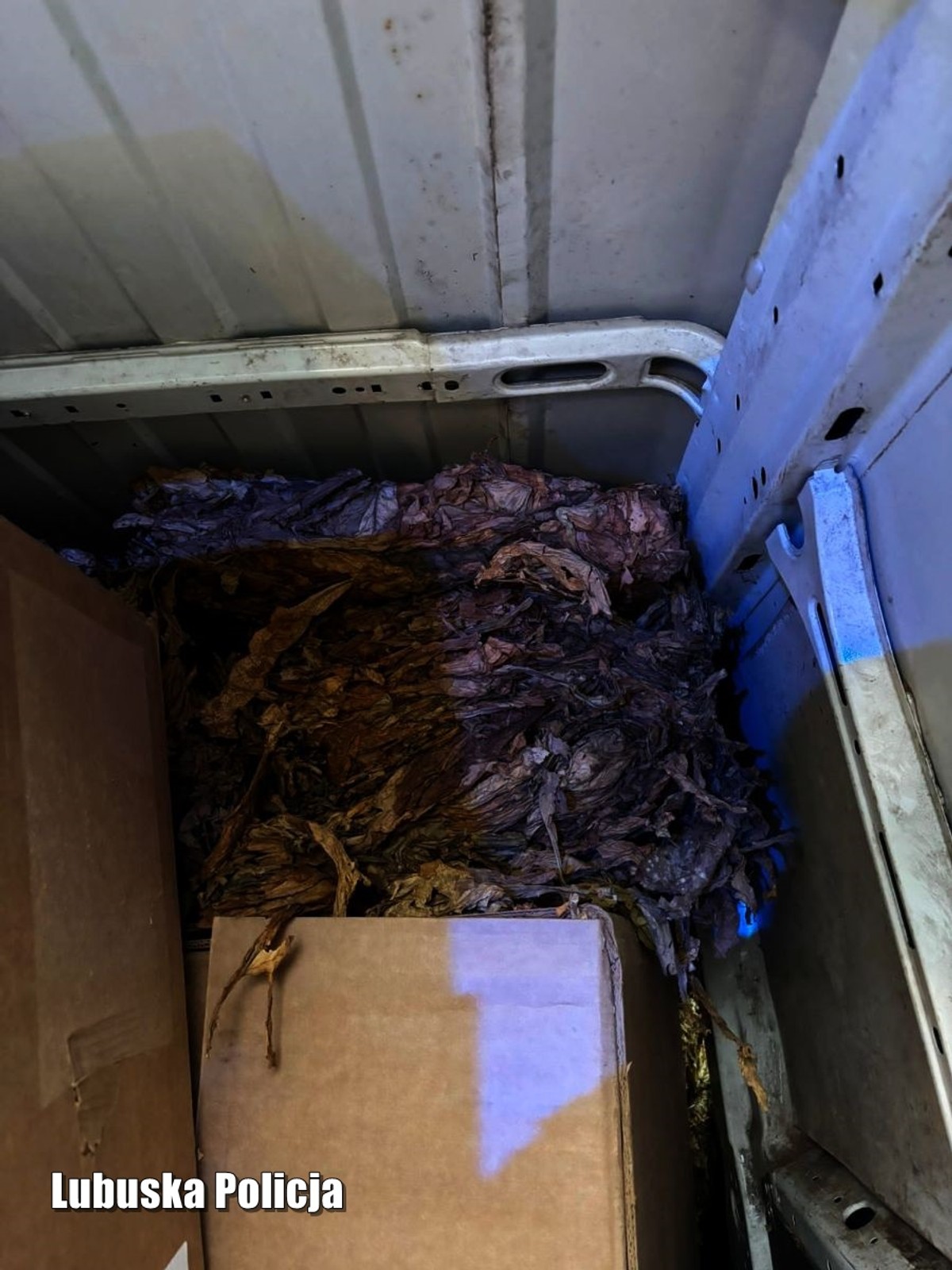 Policjanci z Krosna zatrzymali dostawczaka. Tego podczas rutynowej kontroli drogowej na pewno się nie spodziewali