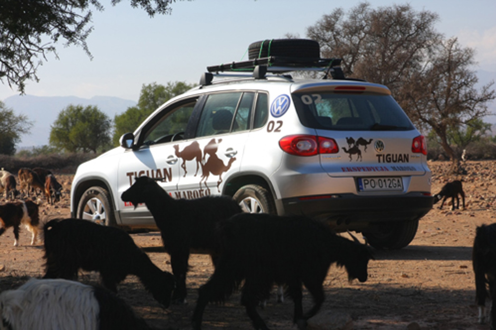 Maroko zza szyb Tiguana