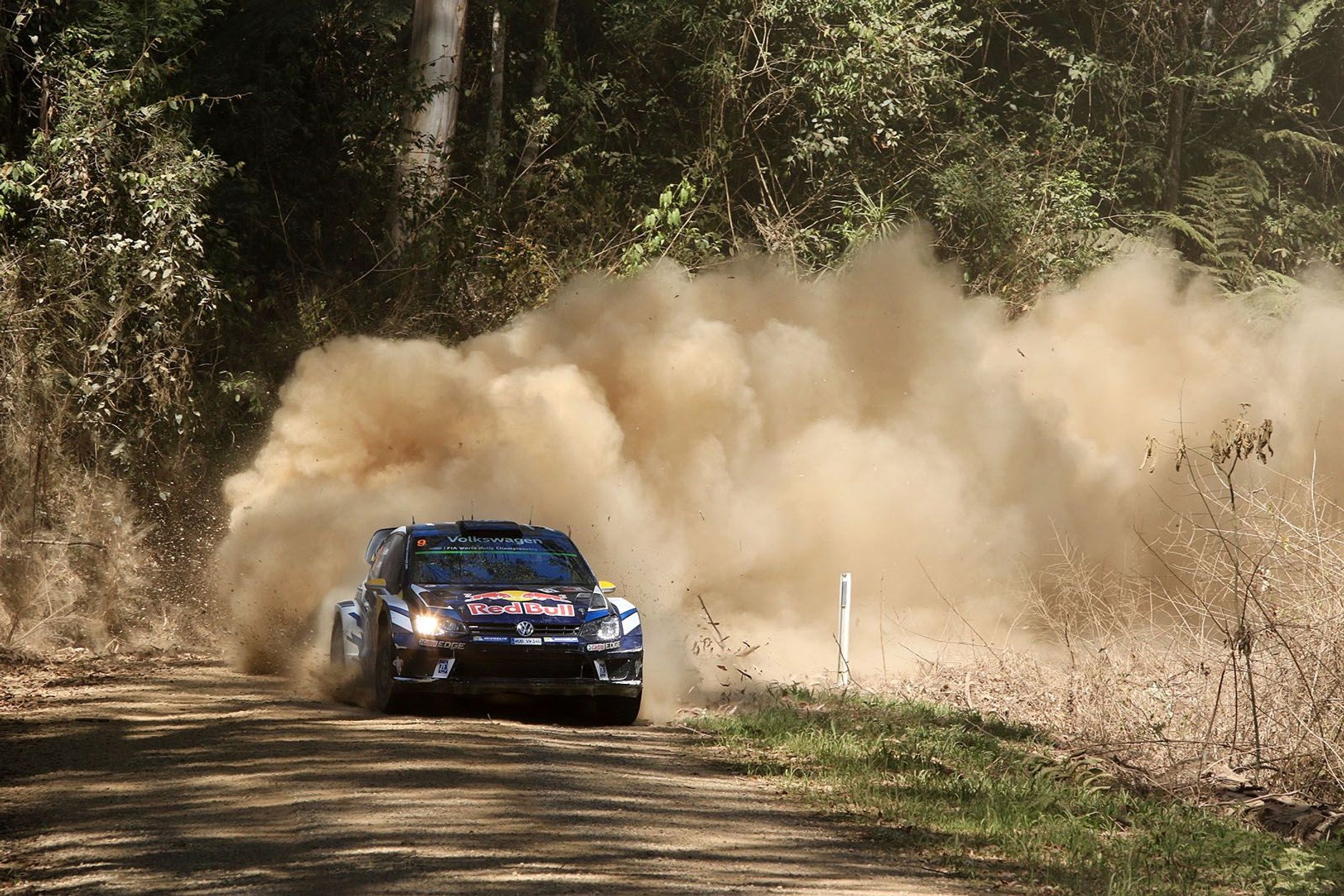 Rally Australia 2016