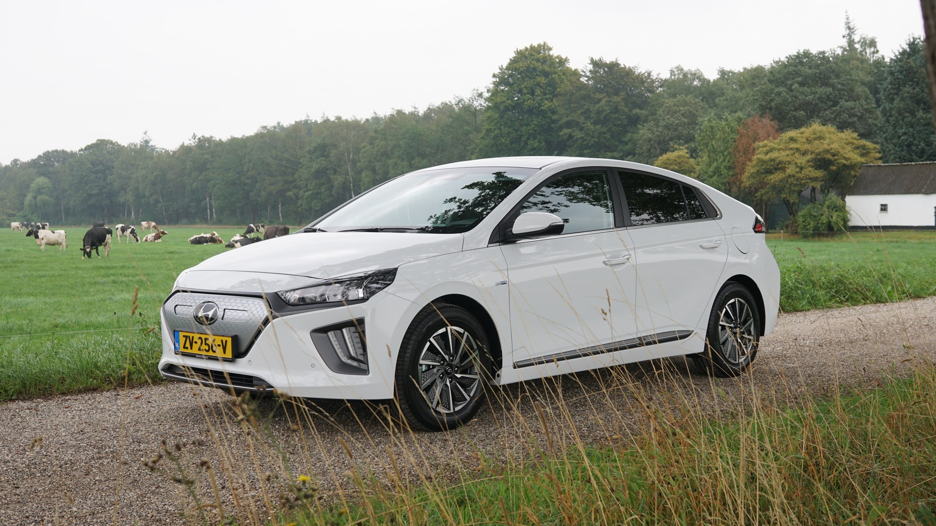 Hyundai Ioniq electric (zdjęcie poglądowe)