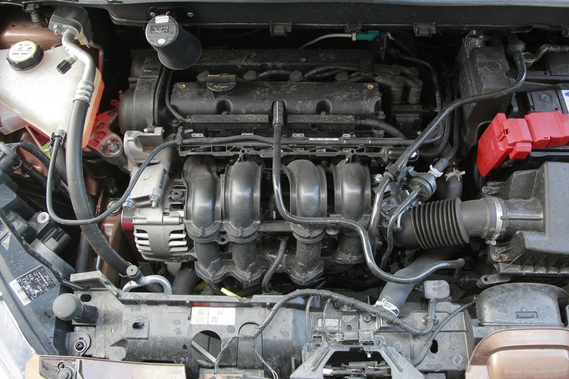 Test Forda B-Max: van maksymalnie otwarty