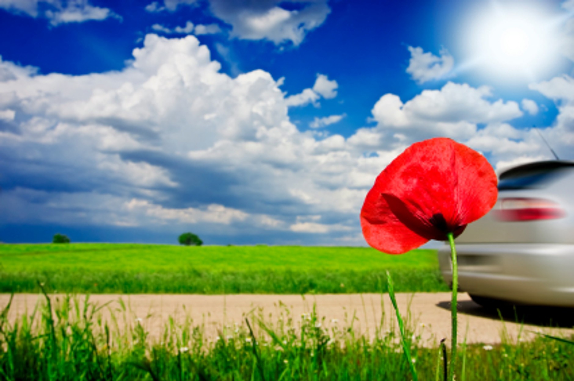 Kompendium Auto Podróżnika