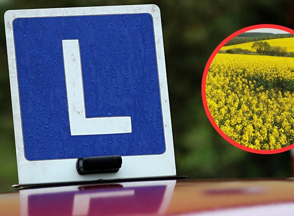 Poszła na egzamin na prawo jazdy i zaginęła. Była nietrzeźwa, ale zdała