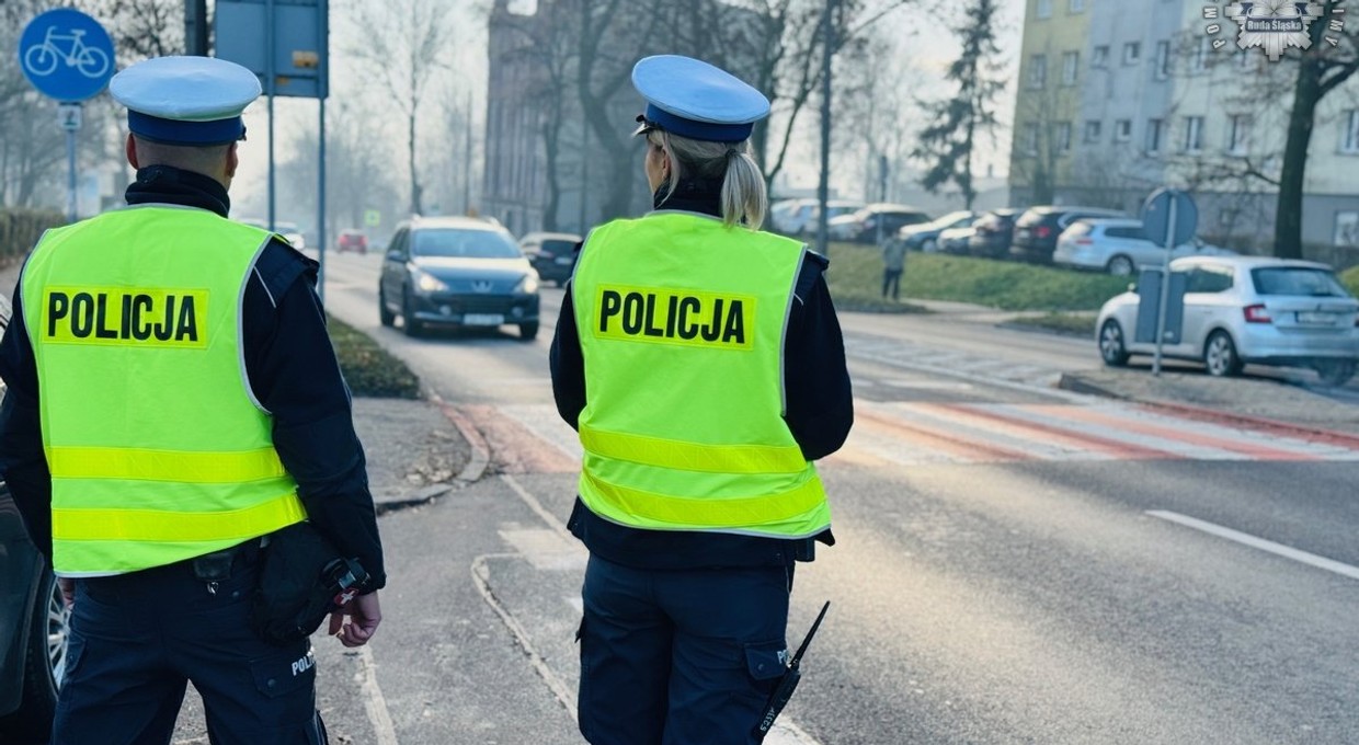 Za co Polacy najczęściej dostają mandaty? Druga przyczyna zaskakuje