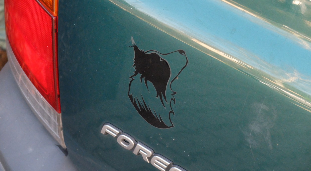 Jak się pozbyć naklejek z karoserii auta - dlaczego sprej nie wystarczy?