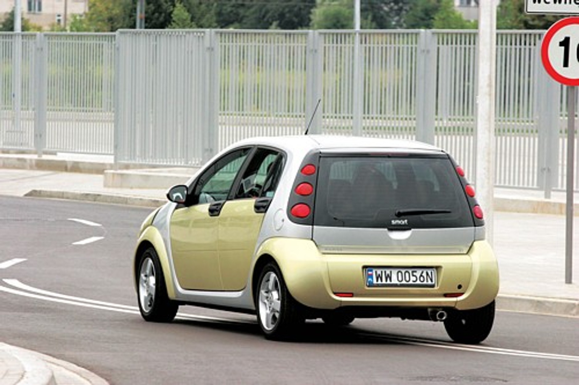 Wyrośnięty egzemplarz