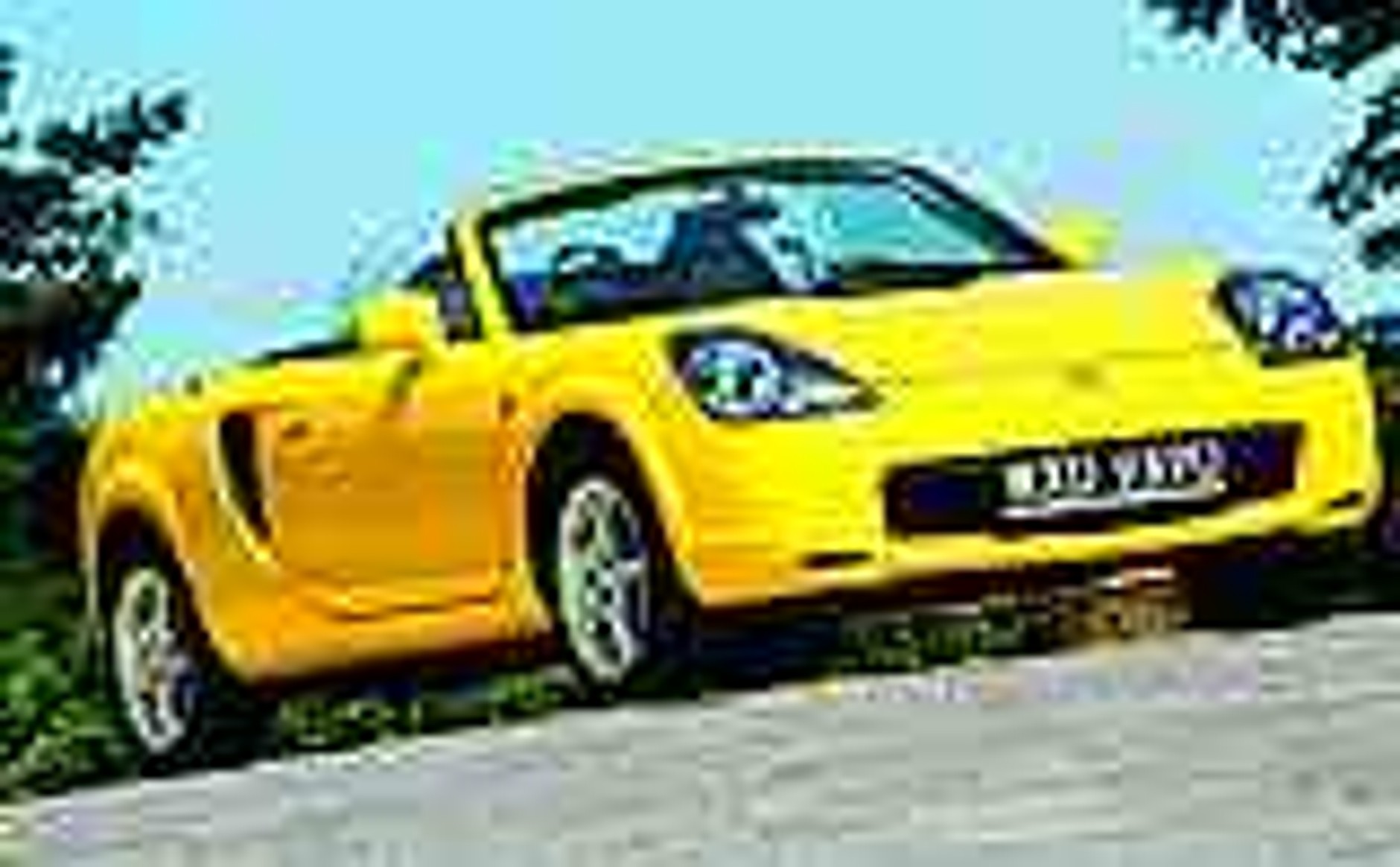 Wolność marzeń...