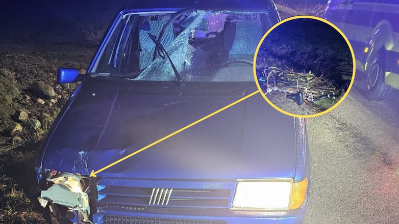 Senior został śmiertelnie potrącony